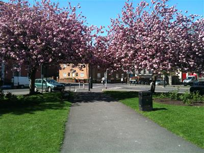 Picture 10
